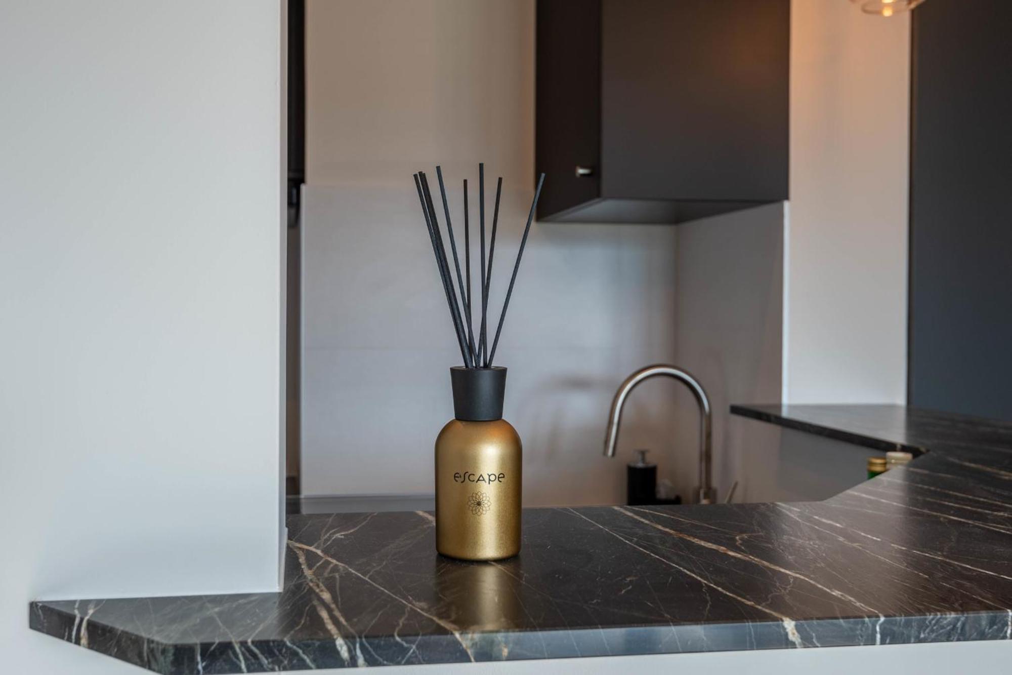 Le Beau Marcy - Contemporary City Centre Flat Annecy Exterior foto
